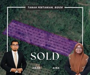 Ejen Hartanah Berdaftar